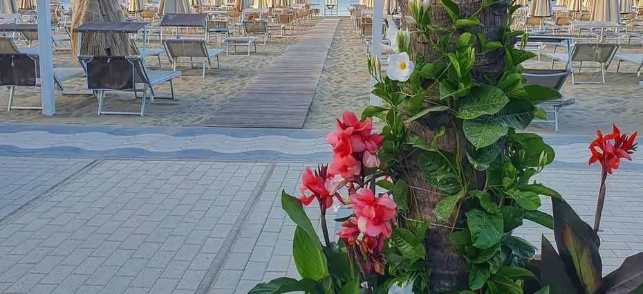 Offerta metà GIUGNO  ALL INCLUSIVE e PENSIONE COMPLETA